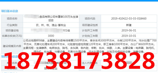 廣東教育項目建議書寫作及教育投資咨詢 全面指南